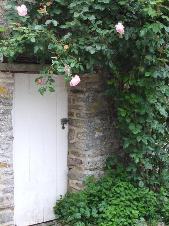 Le Moulin D'Hys Bed & Breakfast La Cropte Bagian luar foto